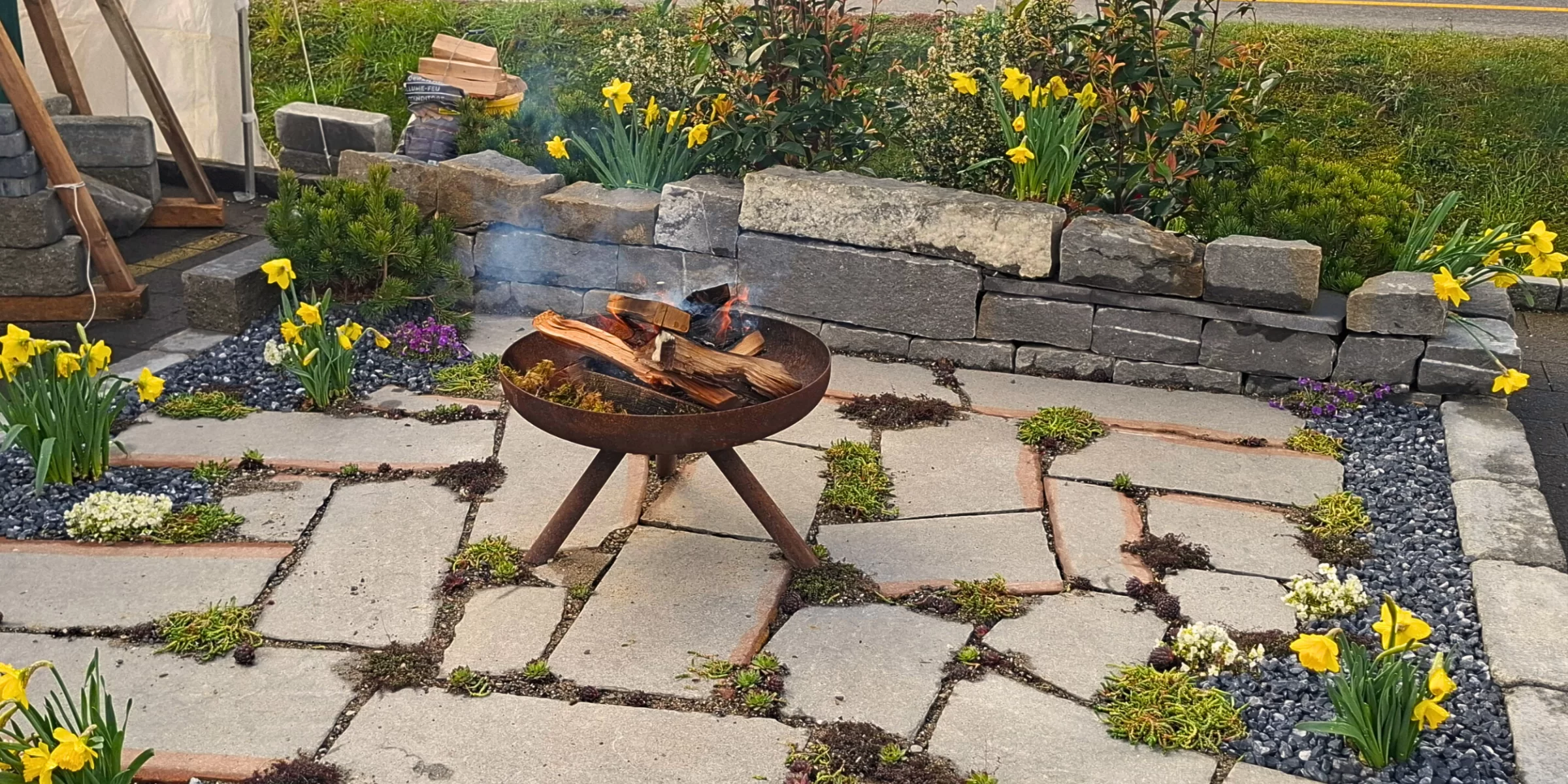 Design ohne Titel (4)